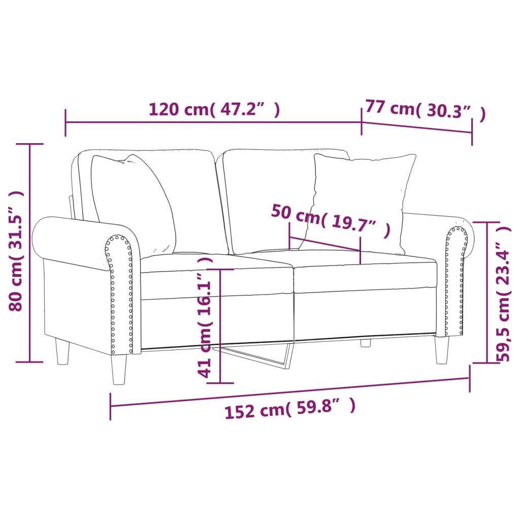 Dvivietė sofa su pagalvėlėmis, šviesiai pilka, 120cm, aksomas