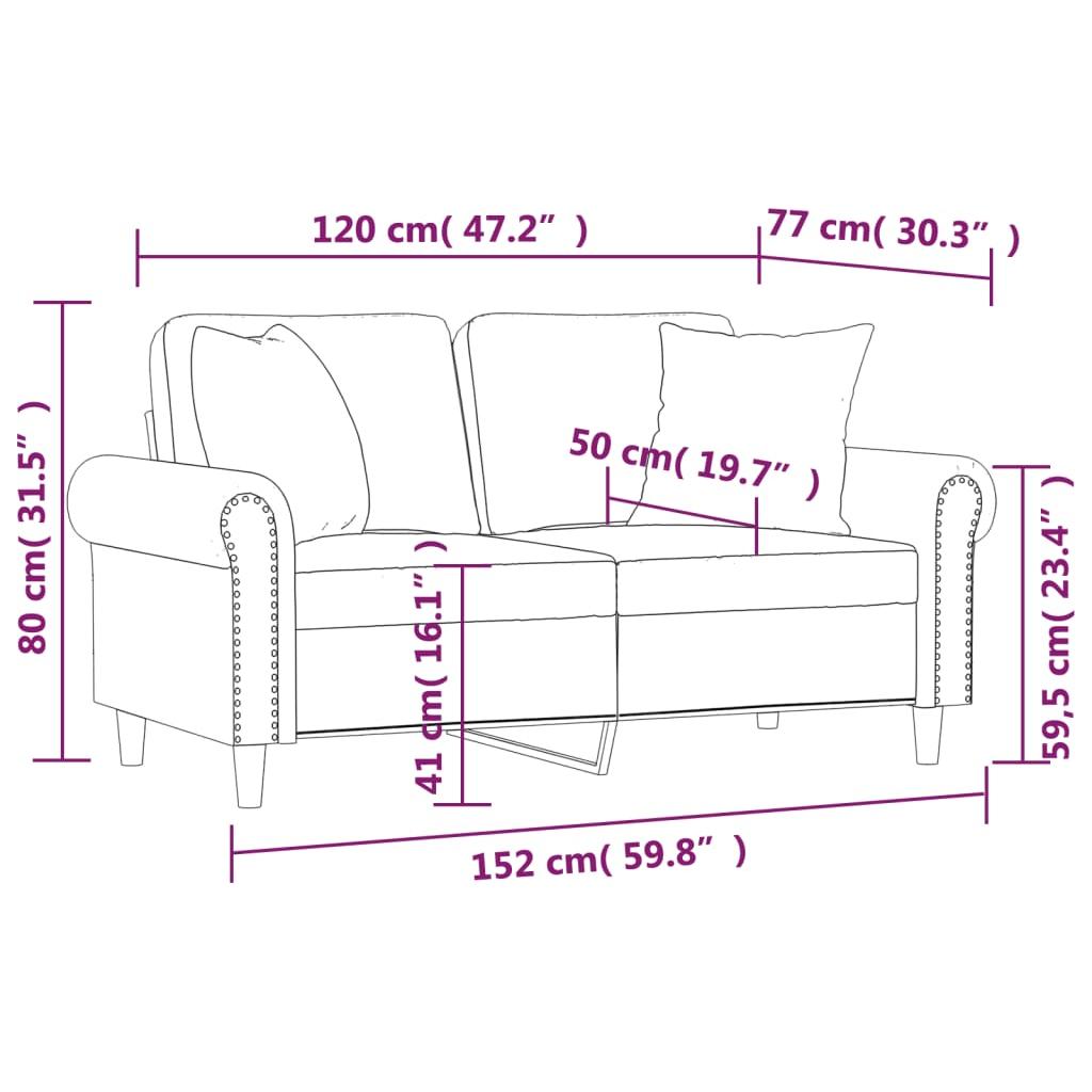 Dvivietė sofa su pagalvėlėmis, juodos spalvos, 120cm, aksomas